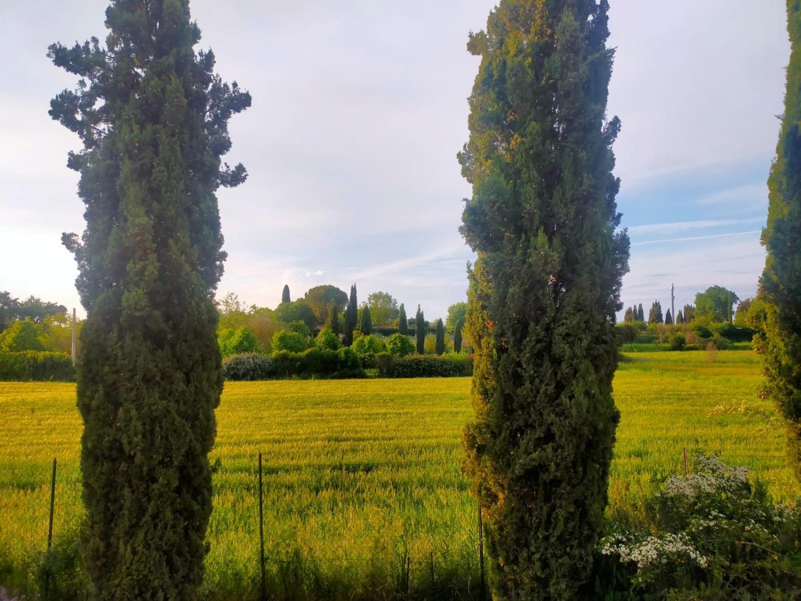 Villetta Con Parco Vicino San Gimignano Colle Val D'Elsa Exterior foto